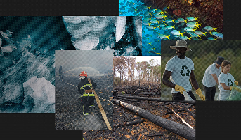 Deloitte - ReWrite your Future