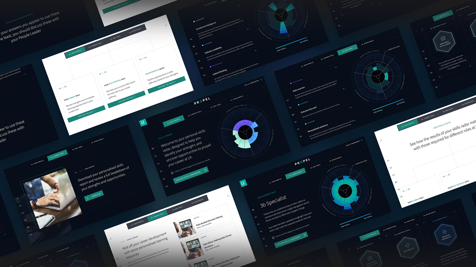 Propel — Diagnostic Assessment Interface